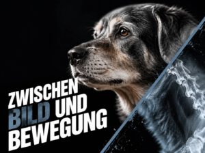 Spondylose beim Hund: Was dir der Röntgenbefund sagt